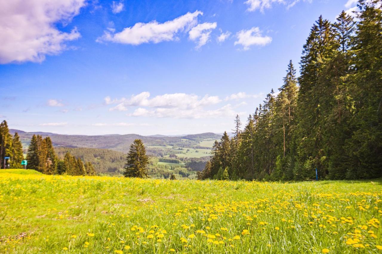 Apartmany Dolce Vita Lipno 511-5 S Vyhledem Na Jezero Lipno nad Vltavou Buitenkant foto